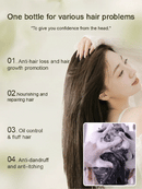 Ginger Plant Extract Anti-Hair Loss Hair Shampoo
