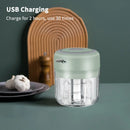 Mini Electric Food Chopper — USB Garlic, Vegetable & Meat Grinder
