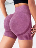High-Waisted Yoga & Workout Shorts