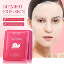 Snail Hyaluronic Acid Face Mask — Hydrating & Firming Skincare Treatment
