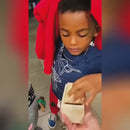 Wooden Spider Prank Box